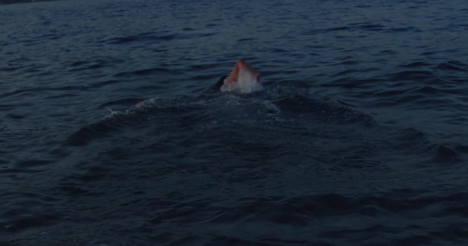 A man wades into the dark sea at dusk and begins to swim away from the camera in slow motion