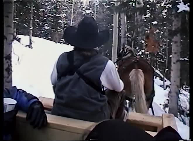 A cowboy leads a horse-drawn sleigh ride through a picturesque snowy forest in winter, seen from a passenger's point of view