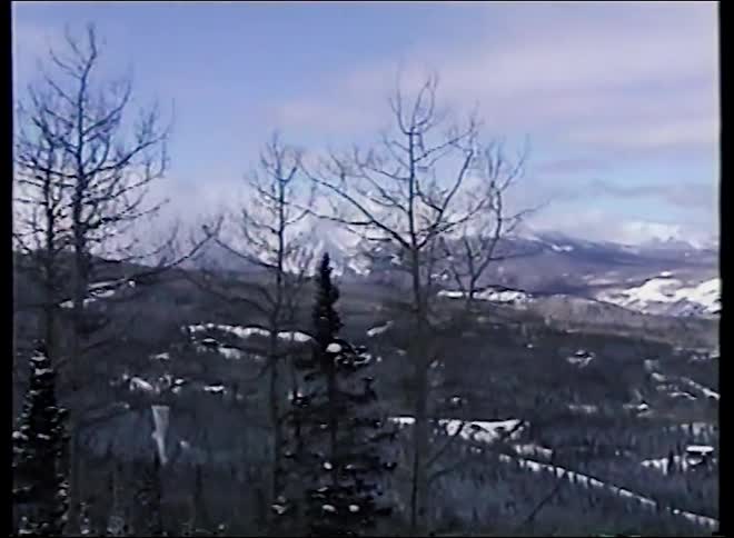 A sweeping pan from a majestic, snow-covered mountain peak down to a vast winter forest below