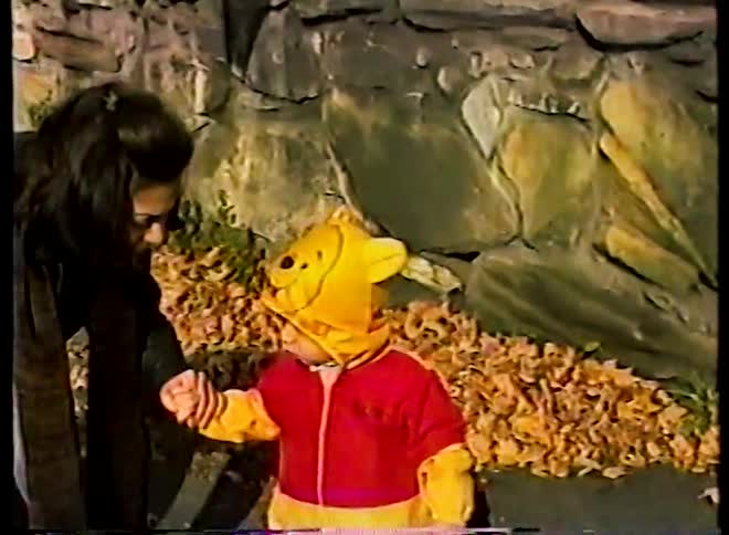 A toddler in a cute Winnie the Pooh costume holds his mother's hand while standing among fallen autumn leaves