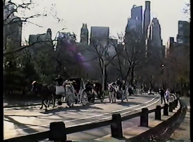 A line of horse-drawn carriages travels through Central Park on a sunny day, set against the iconic New York City skyline in this vintage footage