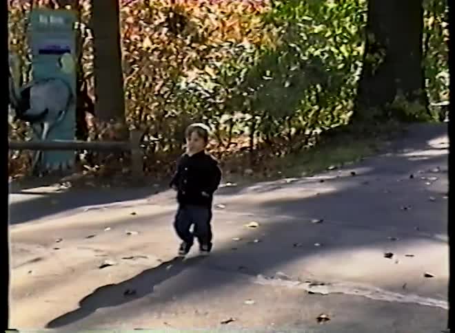 Vintage footage captures a young boy toddling down a sunlit path at the zoo on an autumn day