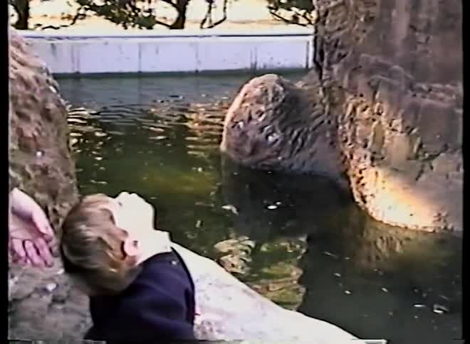 Vintage 1990s home video footage of a young boy curiously watching a bird exhibit at the zoo