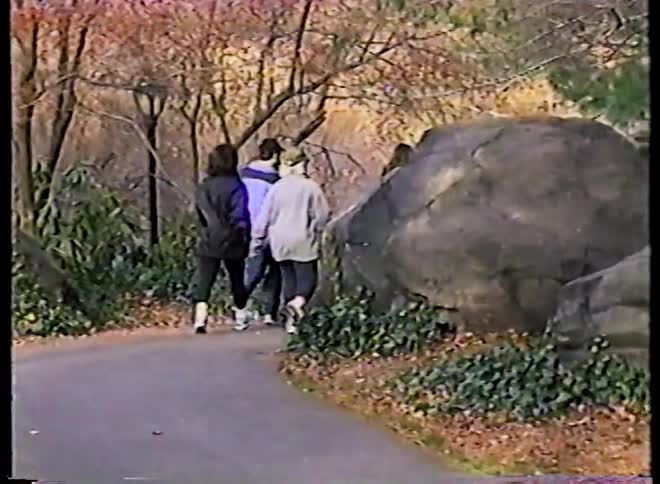 A group of people walk down a winding paved path in a rocky park during the autumn season