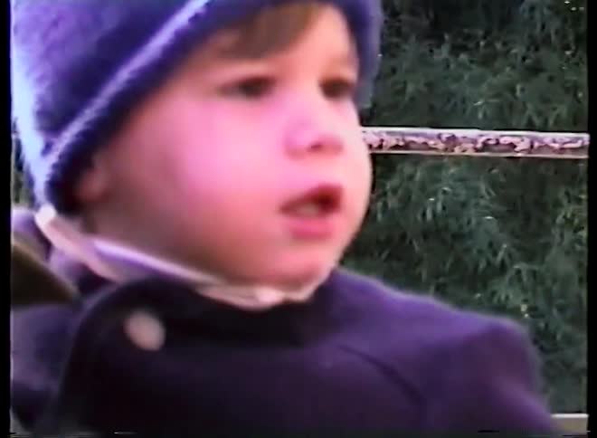 Vintage footage captures a troop of gorillas in their enclosure and a young boy's amazed reaction at the zoo