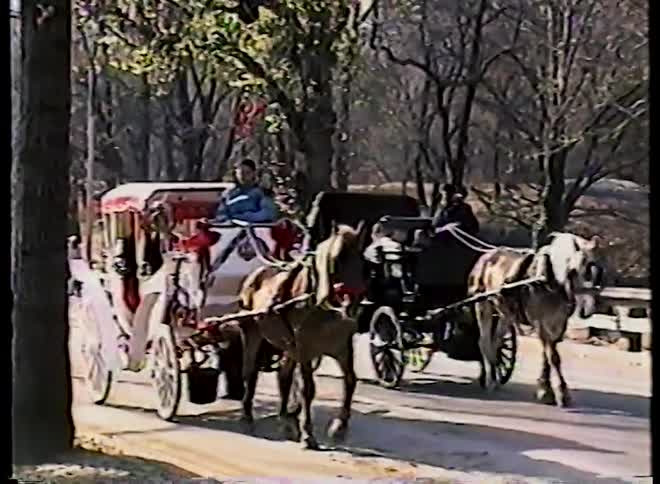 Vintage home video footage shows a child riding on a parent's shoulders while watching horse-drawn carriages in Central Park