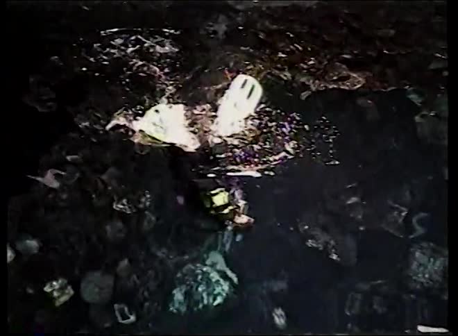 A scuba diver in full gear descends into the dark waters of a large aquarium tank, viewed from above