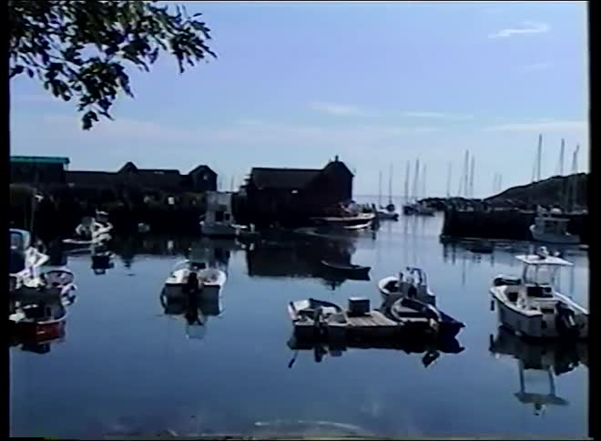 Vintage footage captures a serene fishing harbor with various boats docked in the calm, reflective water on a clear day