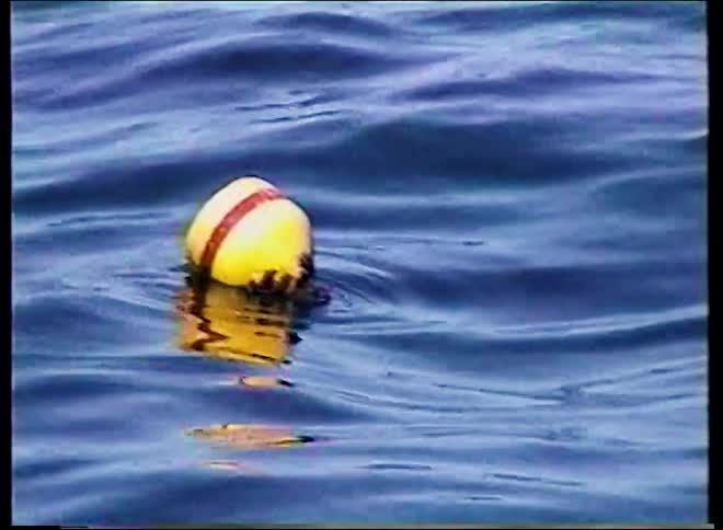 A yellow and red striped buoy bobs gently in the deep blue sea
