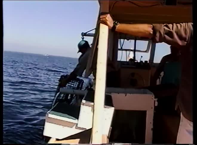 Vintage footage shows a fisherman on a commercial boat using a winch to pull a trap from the ocean