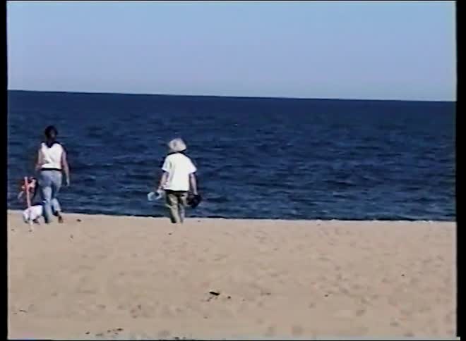 Vintage home video footage shows a child playing with a pinwheel on a sandy beach with his family as a seagull flies by