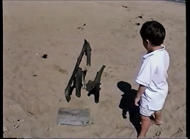 A little boy in a white shirt and shorts points at something off-camera while playing on the sandy beach near the ocean on a sunny day