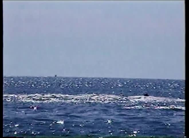 Vintage footage pans from a fishing boat on the open ocean to a flock of seabirds and a coastal lighthouse