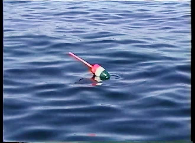 A colorful lobster trap buoy bobs in the gentle waves of the deep blue ocean