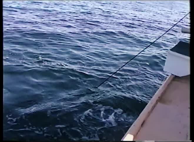 Vintage home video captures a fish being reeled in from the side of a boat on the open ocean