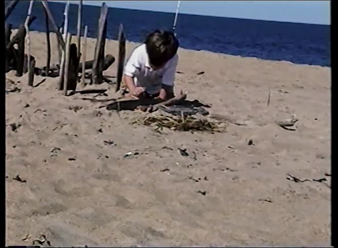 Vintage home movie captures a young boy playing with driftwood on a sandy beach by the ocean on a sunny day