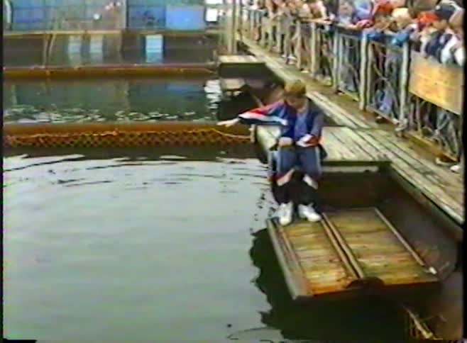 Vintage footage shows a person feeding a dolphin by hand from a floating dock at a marine park while a crowd watches