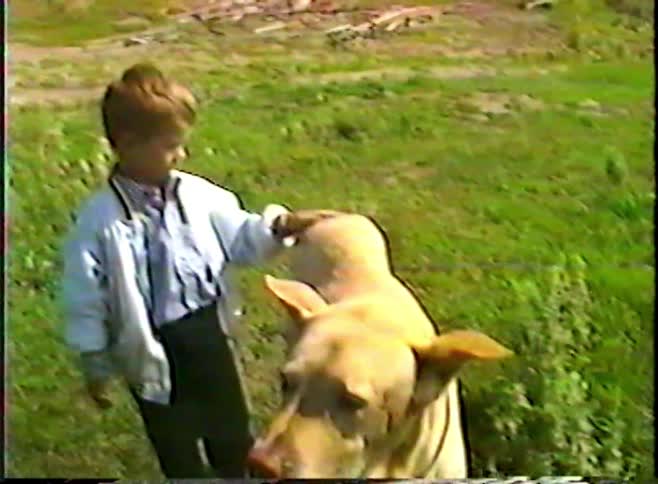 Vintage VHS footage from the 1990s shows a young boy gently petting his large yellow dog in a green, grassy field