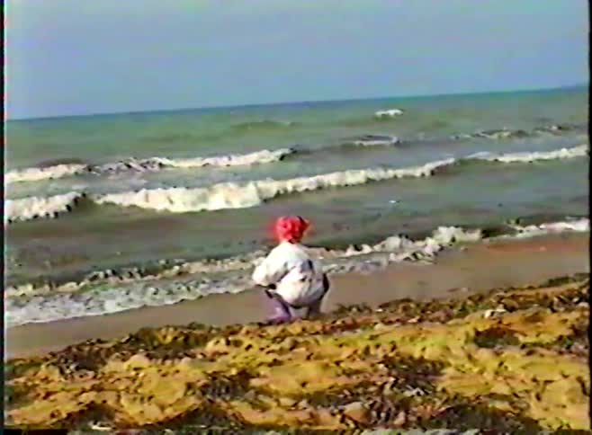 A Muscovy duck with a red wattle rests on a sandy beach as ocean waves roll onto the shore in this vintage footage