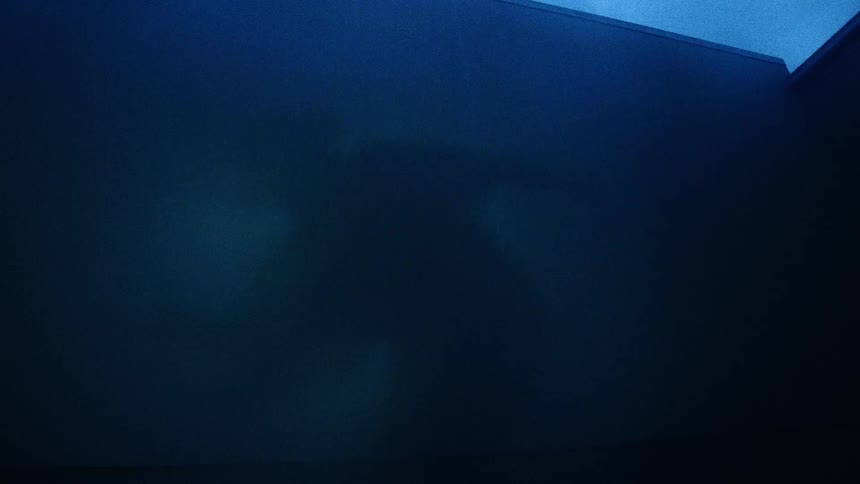 The haunting silhouette of a figure moves mysteriously against a dark blue, grainy backdrop