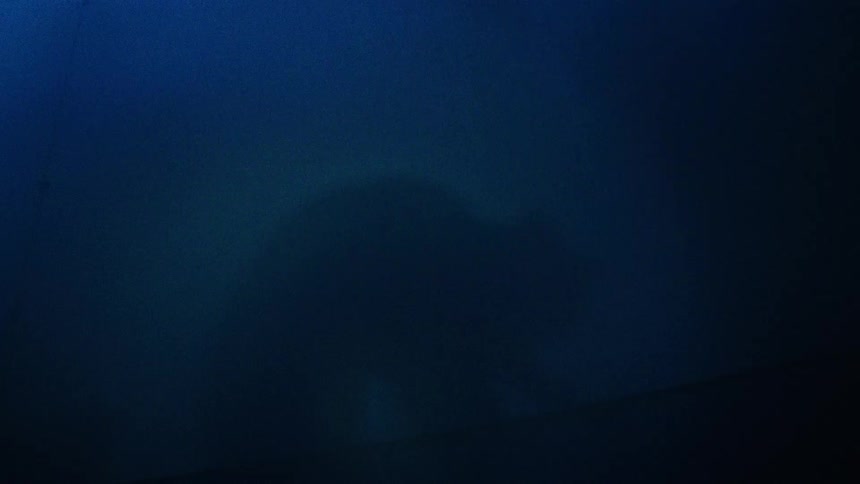 A spooky shadow of a cat on a blue wall morphs into the silhouette of a mysterious standing figure