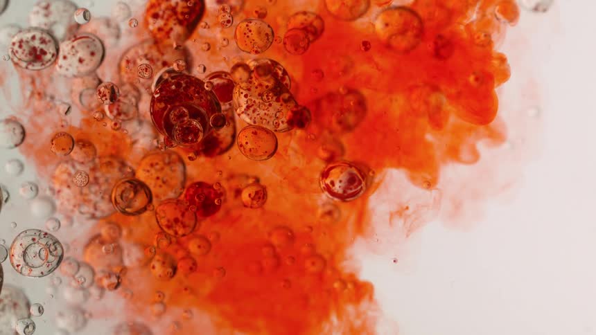 A mesmerizing macro shot of red ink slowly blooming and mixing with clear oil bubbles against a white background
