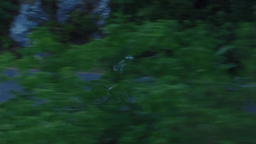 A high-angle tracking shot follows a cyclist as he speeds along a paved road through a lush, green forest