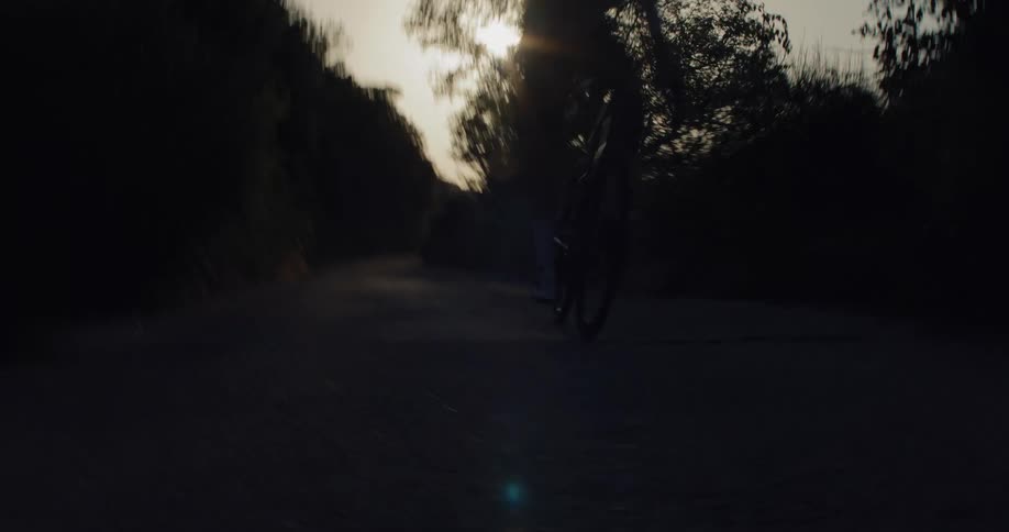 A silhouetted cyclist speeds down a dark, tree-lined road at sunset in a dramatic low-angle shot