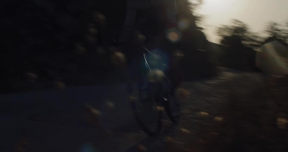 A silhouetted cyclist rides down a quiet road at sunset, filmed through dry grass with cinematic lens flare