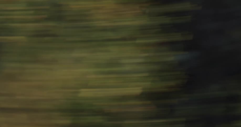 A dynamic close-up of a bicycle wheel and a cyclist's shoe pedaling at speed along an outdoor path