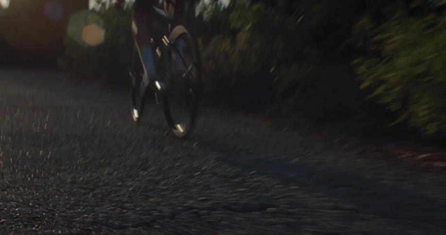 Low angle following shot of a cyclist pedaling hard on a tree-lined road during a hazy sunset