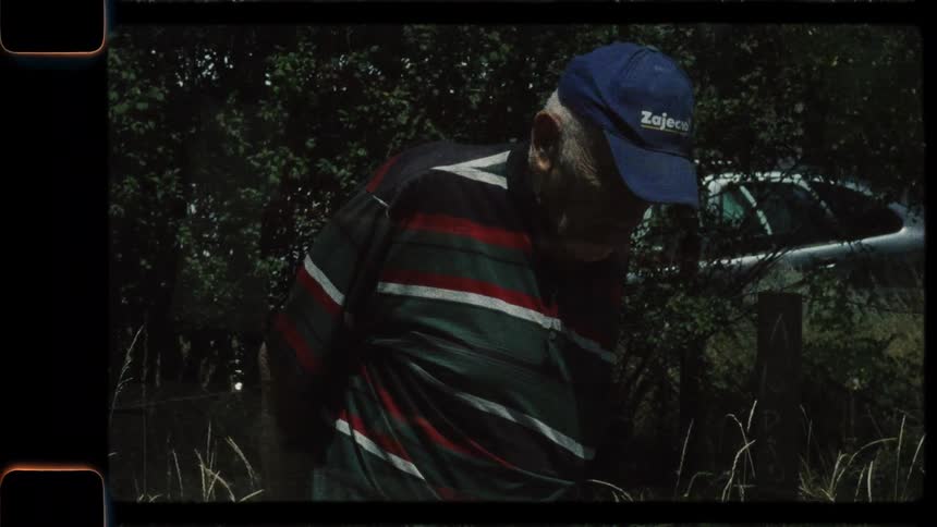 Vintage 8mm footage of an elderly man in a baseball cap and striped shirt walking through a field of tall grass