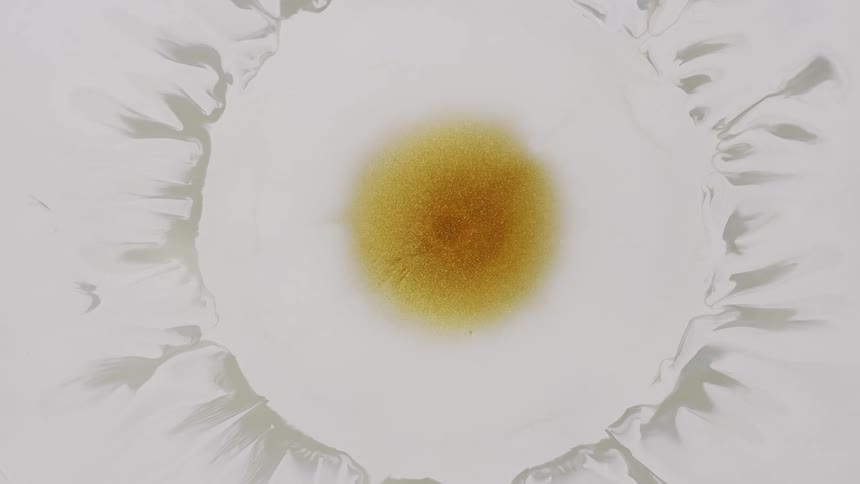 A central golden orb of paint slowly expands into the surrounding milky white liquid
