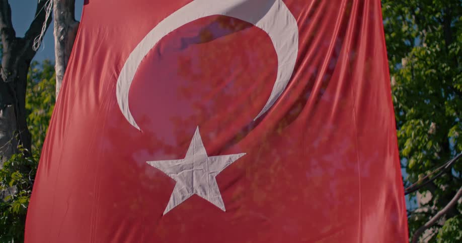 A close-up of the national flag of Turkey hanging vertically amidst lush green trees on a sunny day