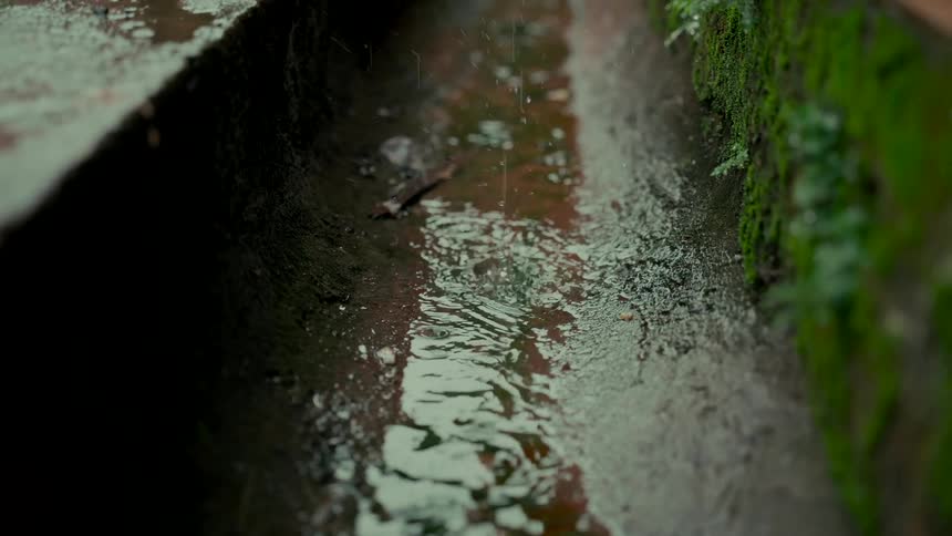 Slow motion raindrops fall into a mossy concrete gutter, creating gentle ripples in the water