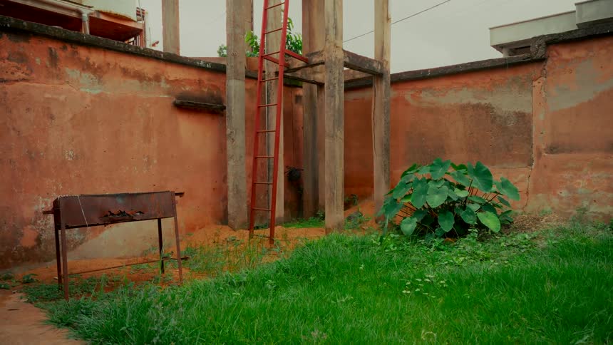 A rustic backyard with green grass is enclosed by weathered walls, featuring a rusty grill, a red ladder, and a large plant