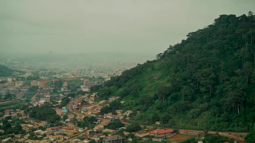A hazy city sprawls through a valley at the base of a lush, tree-covered mountain