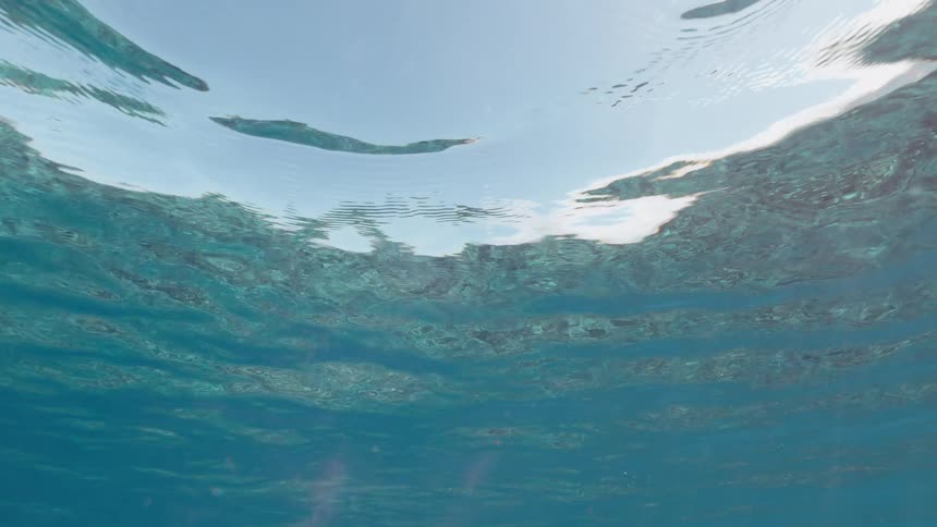 A peaceful underwater view looking up at the sunlit surface of the rippling turquoise sea