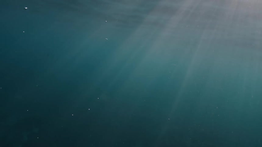 Sunlight streams through the surface of the deep blue ocean, creating beautiful light rays underwater