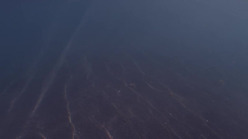 A mysterious underwater view as sunbeams penetrate the dark water, creating shifting patterns on the sandy floor
