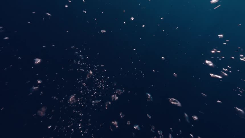 Slow motion shot of air bubbles ascending through the deep blue sea