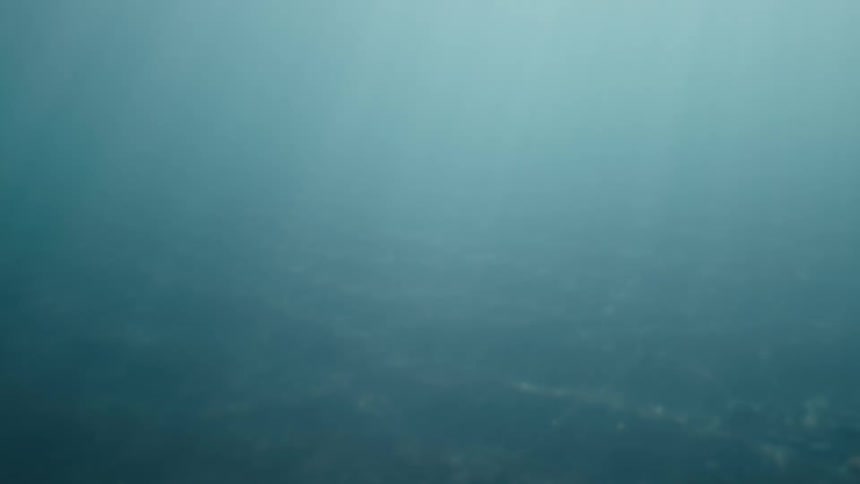 A serene and murky underwater scene of a dark seafloor illuminated by gentle light rays from the surface