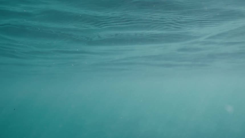 A serene underwater view looking up at the gentle waves and rippling surface of the turquoise ocean