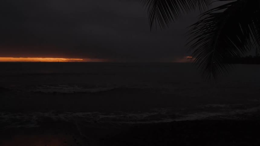 A sliver of golden sunset breaks through dark clouds over the ocean at night, with palm tree fronds in the foreground