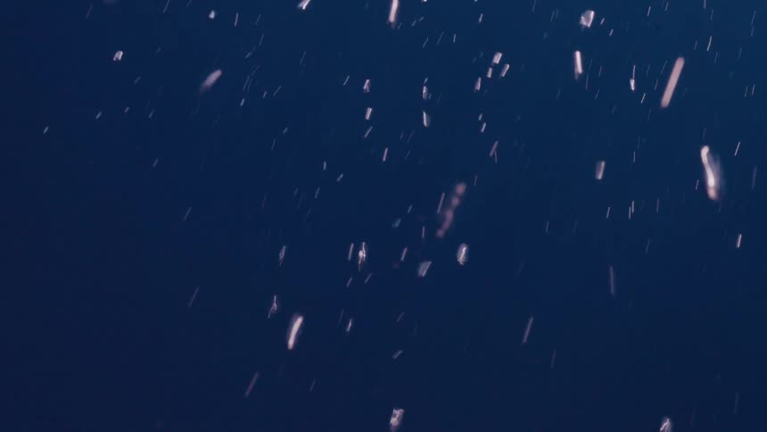 Abstract shot of shimmering particles floating and drifting through dark blue water in slow motion