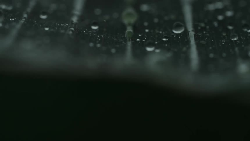 A moody, slow-motion macro shot of raindrops falling and beading up on the dark, ribbed surface of a leaf