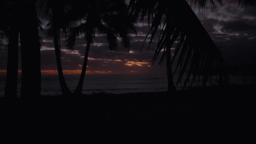 A serene view of the last light of sunset over the ocean, framed by silhouetted palm trees on a tropical beach