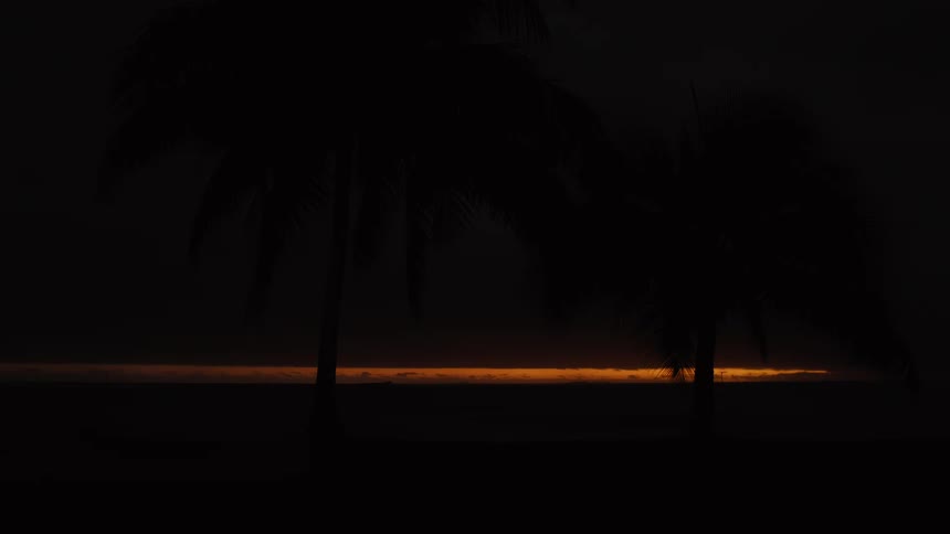 The first light of dawn breaks on the dark ocean horizon, framed by the silhouettes of tropical palm trees