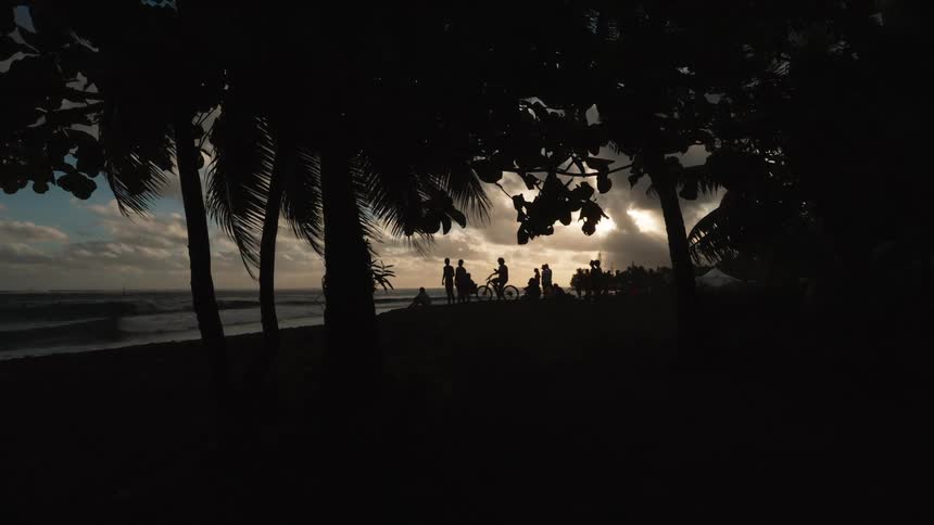 Silhouetted figures gather on a tropical beach at sunset, framed by palm trees as waves crash on the shore
