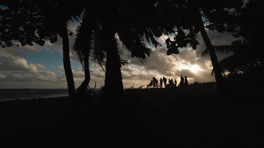 A group of silhouetted people gather on a tropical beach at sunset, framed by lush palm trees